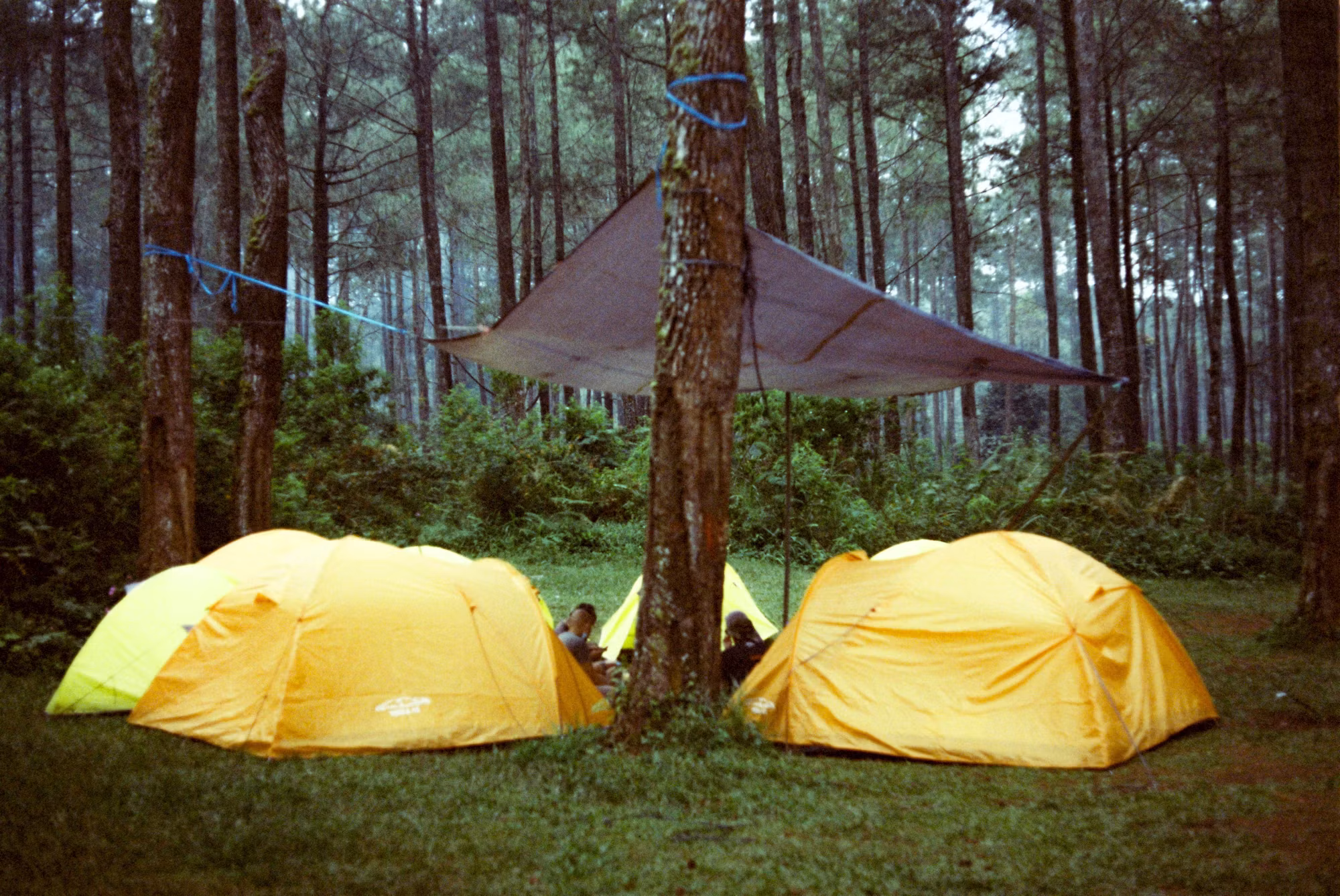 Exploring the Great Outdoors: A Guide to Nature Retreats